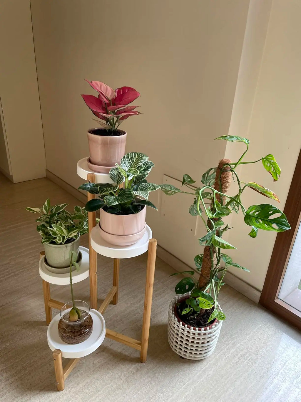 4-Tier Bamboo Indoor & Outdoor Plant Stand - BaseMaxCore