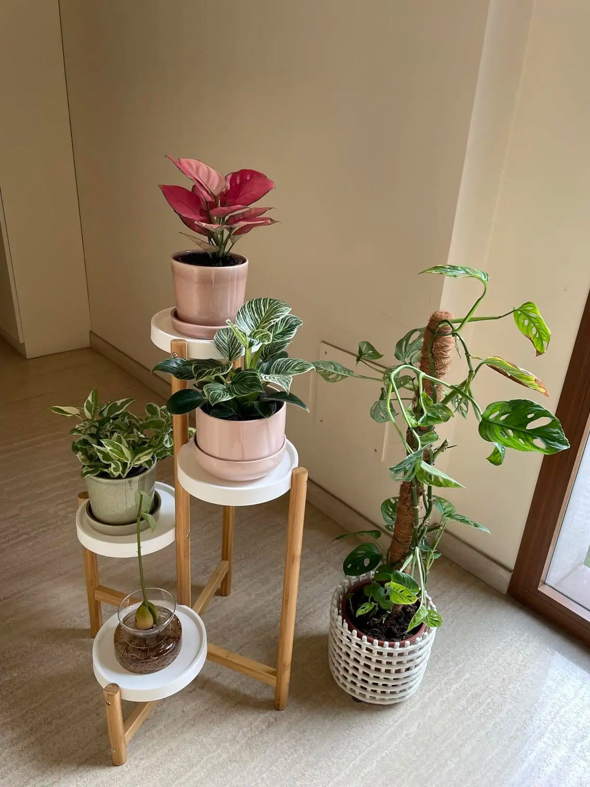 4-Tier Bamboo Indoor & Outdoor Plant Stand - BaseMaxCore