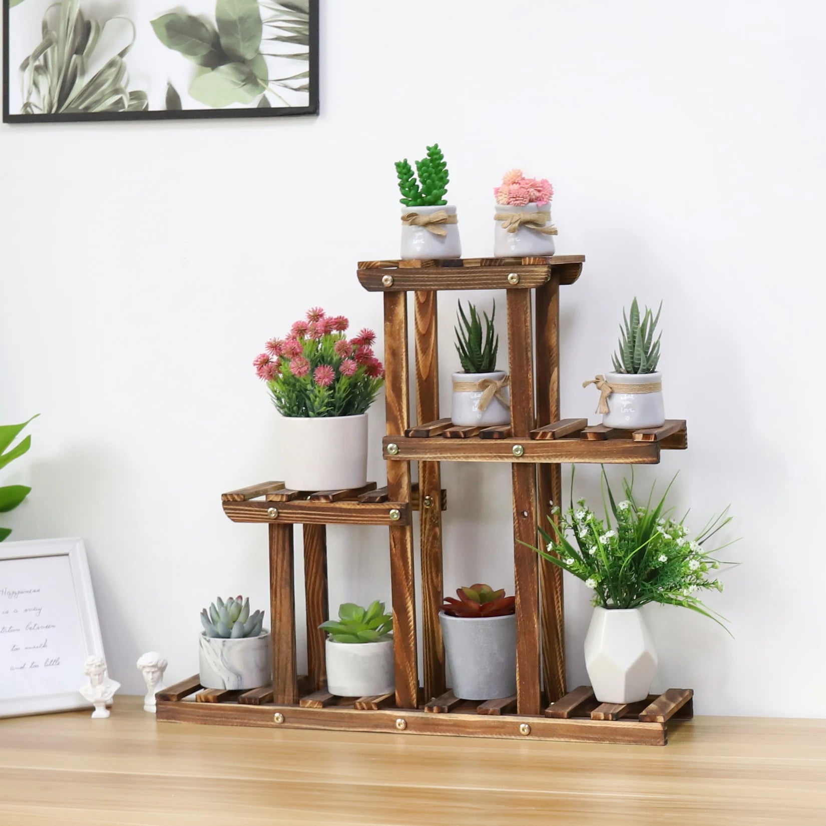 BINGOPAW Carbonised Wood Plant Stand – 4-Tier Multi-Level Succulent Rack for Indoor, Balcony & Garden