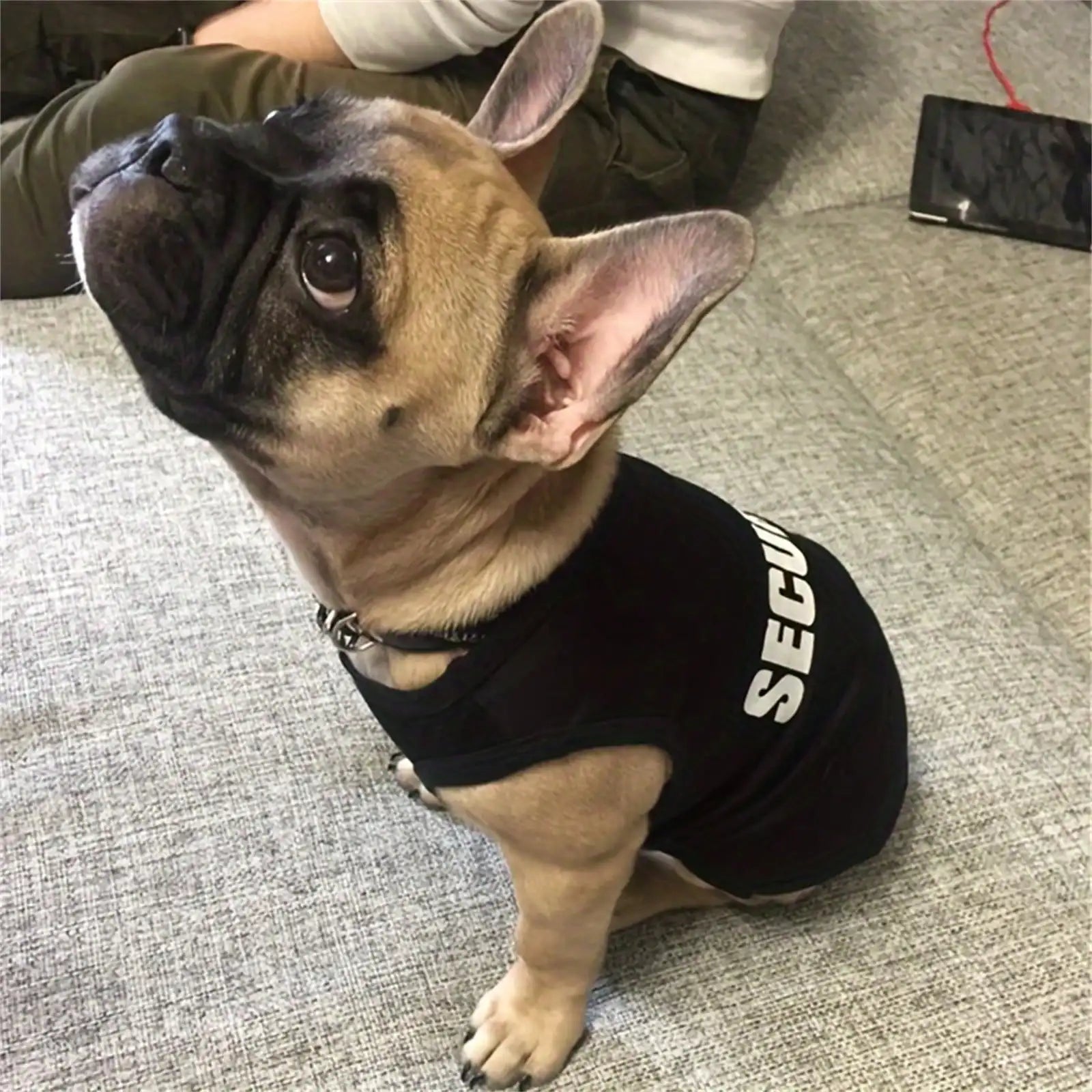 1 Pcs Dog and cat clothes breathable cute letter print thin cartoon pet sleeveless top
