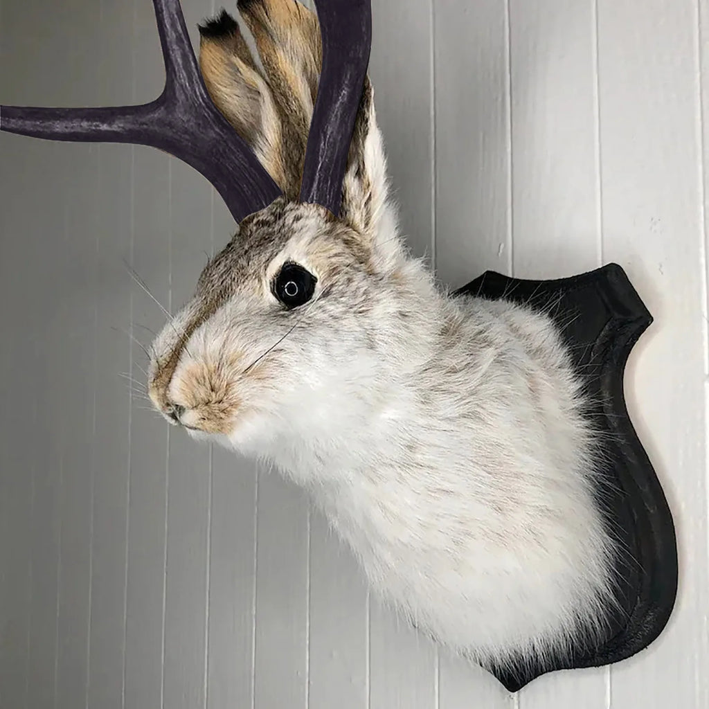 Jackalope Bunny Head Wall Mount | Resin Faux Taxidermy Wall Décor
