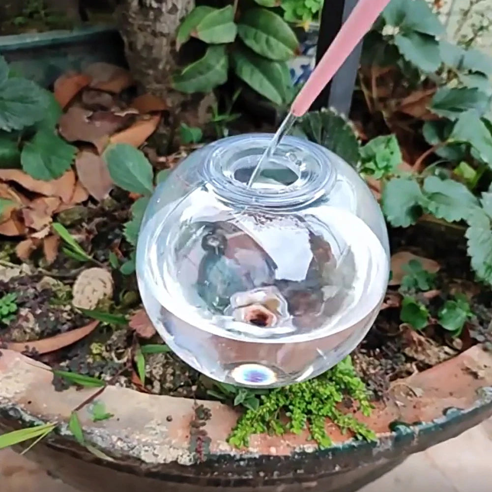 Self-Watering Plant Globes – 500ml Automatic Drip Irrigation Bulbs for Indoor & Outdoor Potted Plants