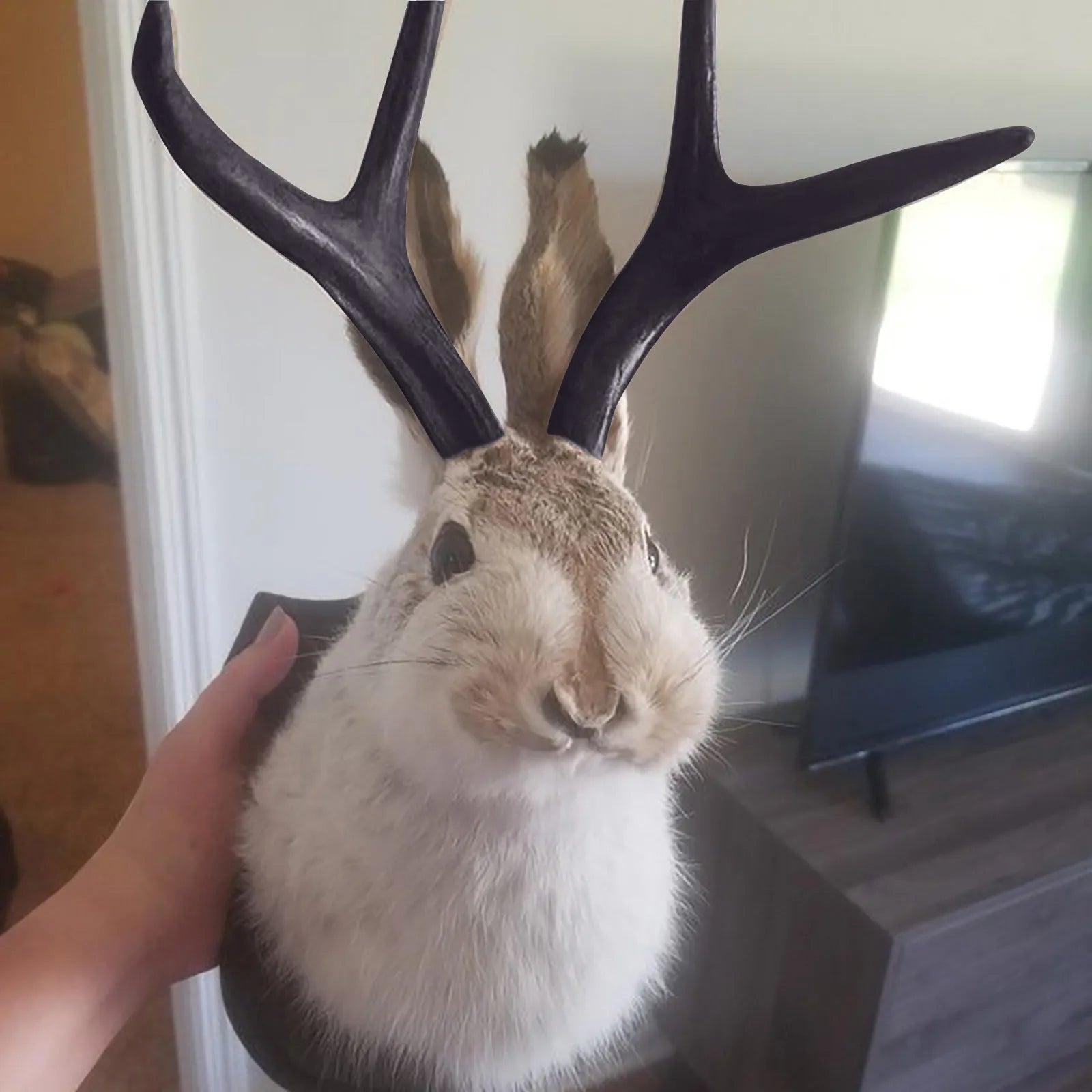 Jackalope Bunny Head Wall Mount | Resin Faux Taxidermy Wall Décor
