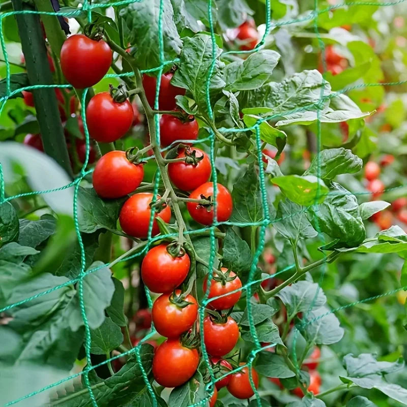 Heavy-Duty Polyester Garden Trellis Netting – Square Mesh Grow Net for Climbing Plants, Vegetables & Pergolas