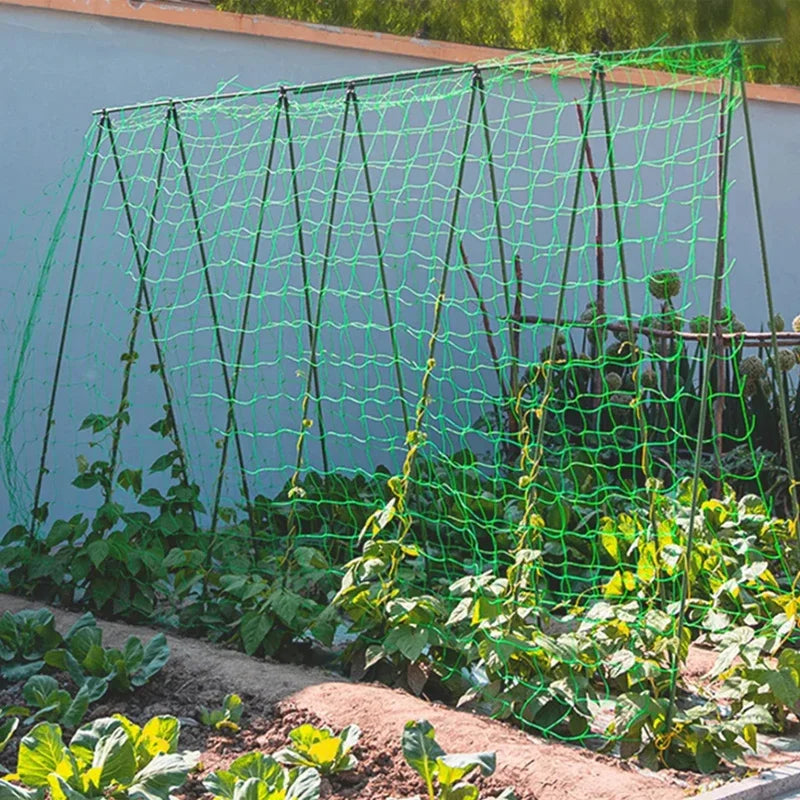 Heavy-Duty Polyester Garden Trellis Netting – Square Mesh Grow Net for Climbing Plants, Vegetables & Pergolas