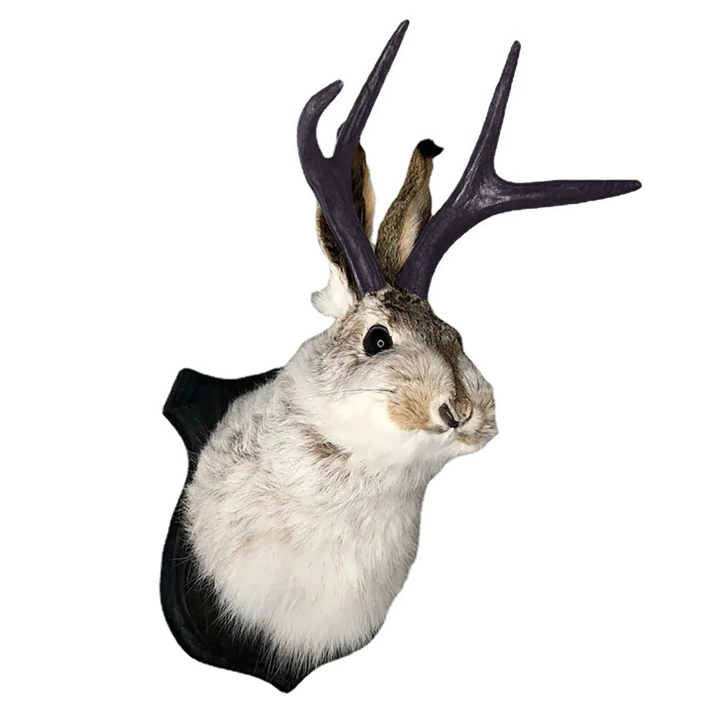 Jackalope Bunny Head Wall Mount | Resin Faux Taxidermy Wall Décor