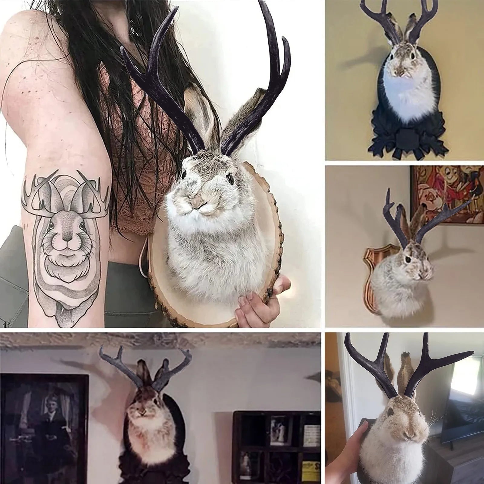 Jackalope Bunny Head Wall Mount | Resin Faux Taxidermy Wall Décor