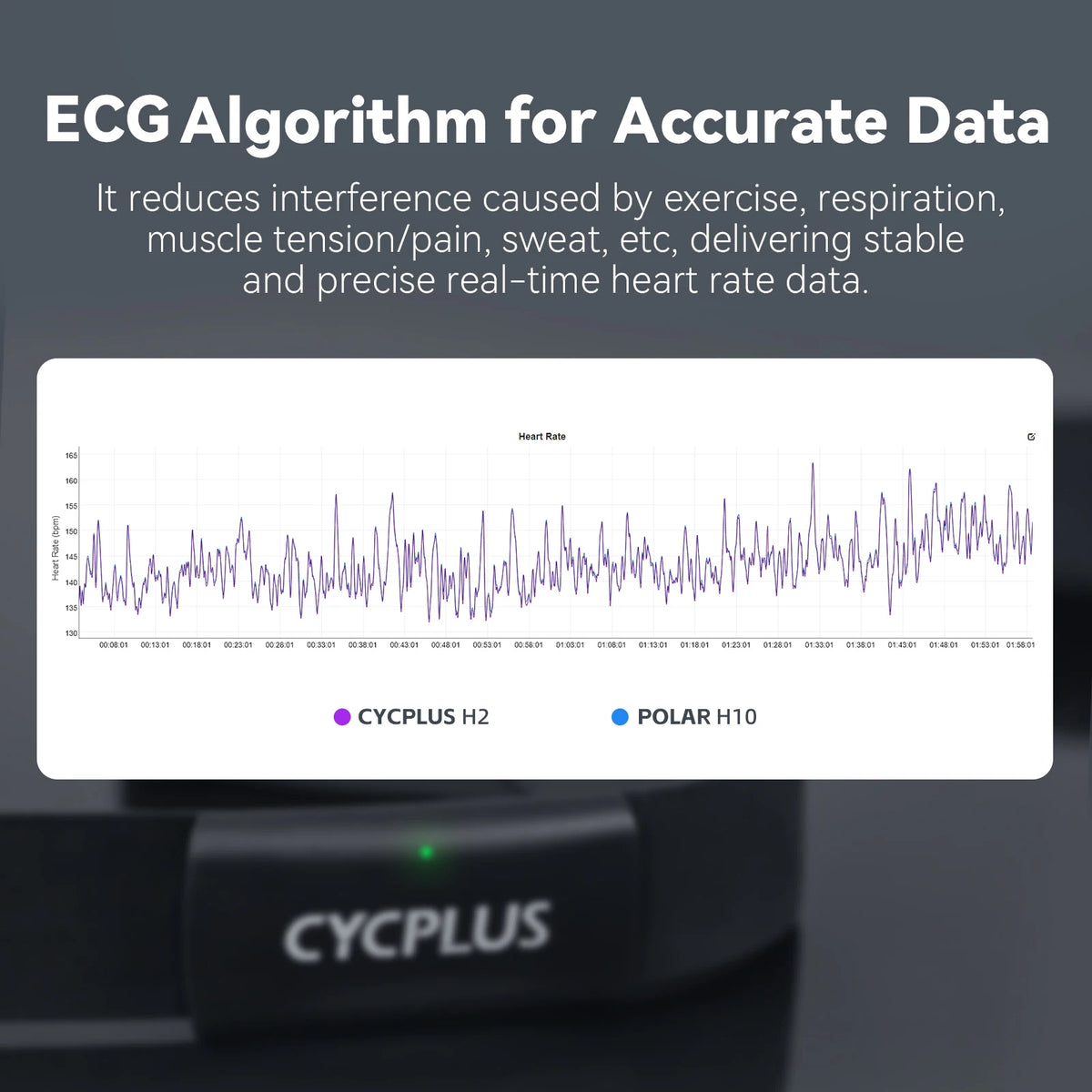 CYCPLUS H2 Heart Rate Monitor Chest Strap - BaseMaxCore