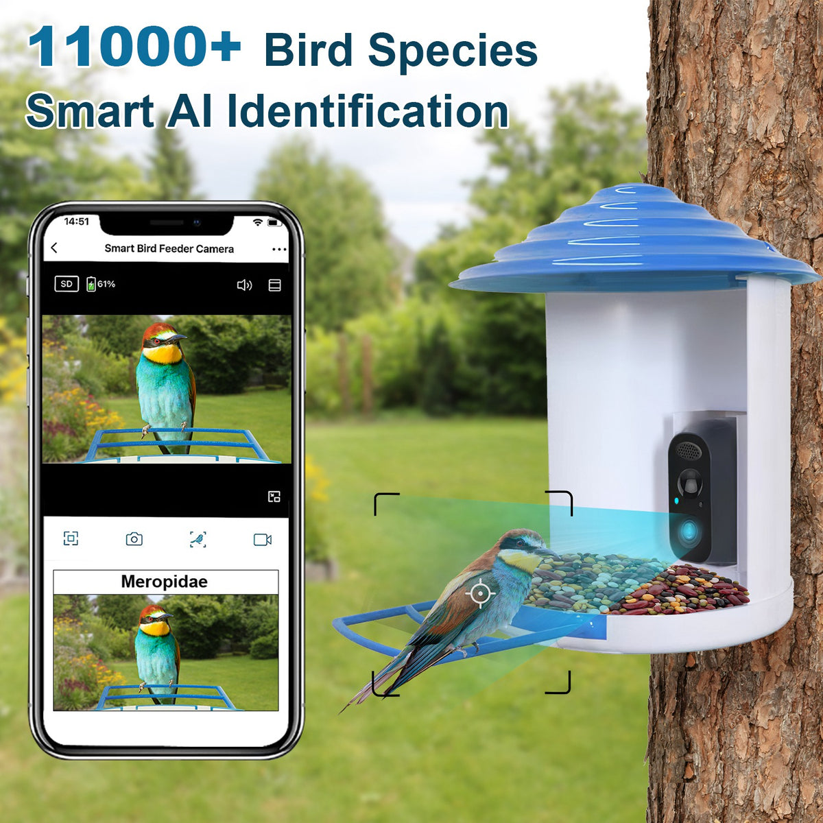 Smart Solar Bird Feeder with AI Camera - BaseMaxCore