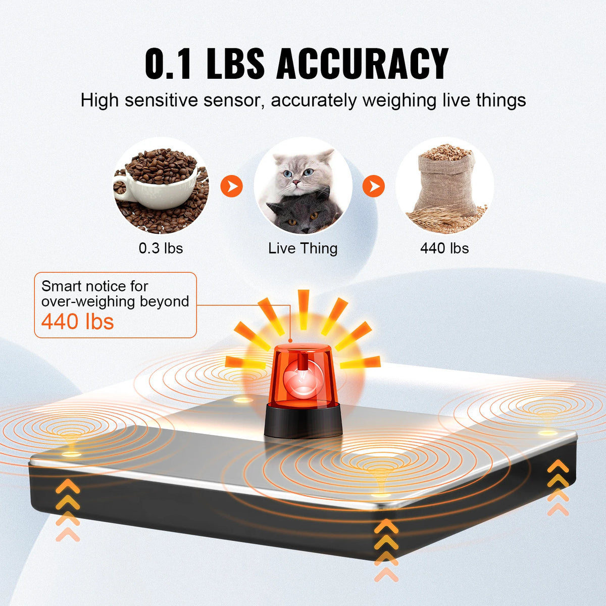 SucceBuy Digital Postal Scale - BaseMaxCore